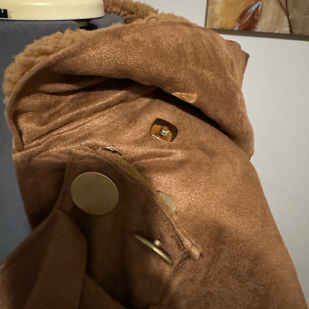 Aegis Defenders Cloak - image 6